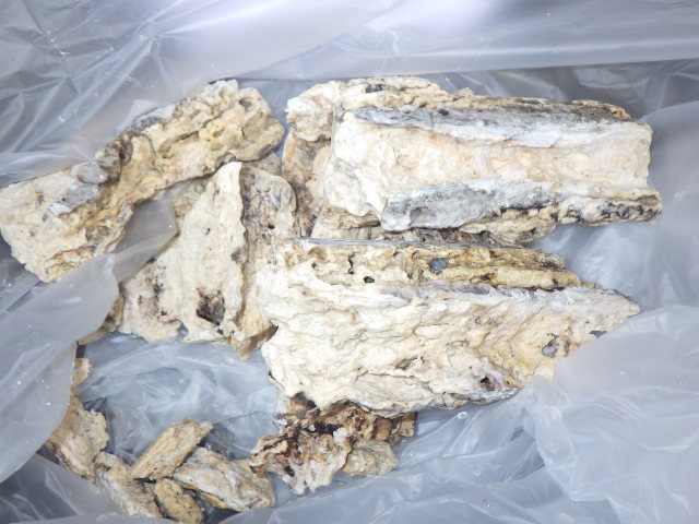 流出した油の塊