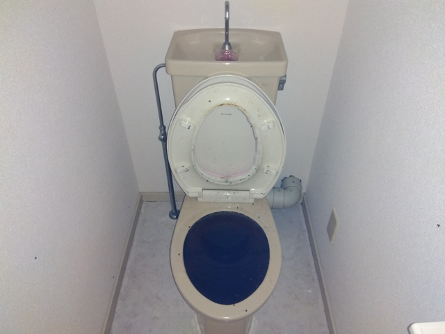 トイレが詰まった状態