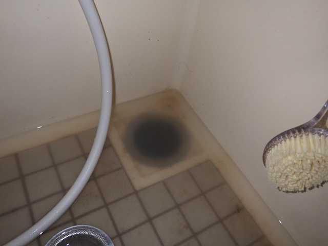 浴室排水口洗浄前