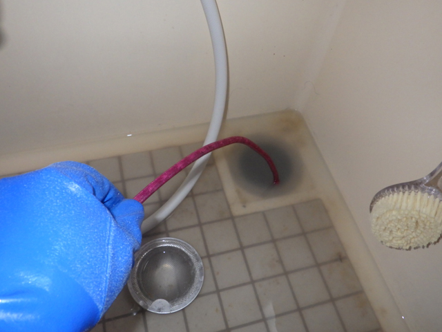 高圧洗浄機による洗浄の様子