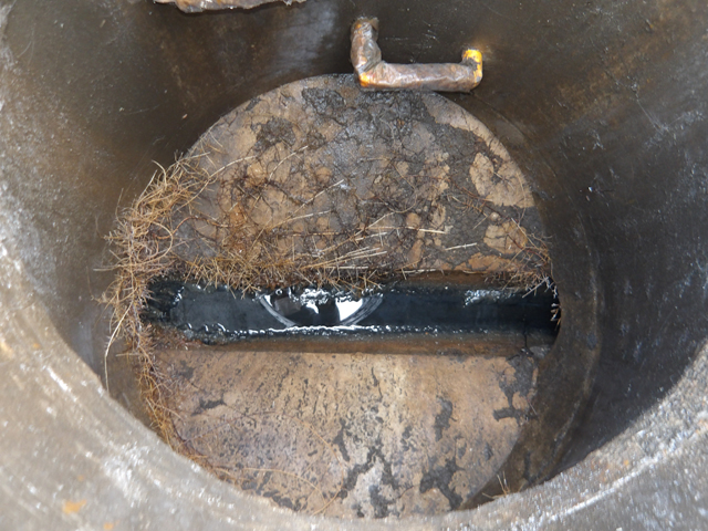 下流側に詰まっている木の根の塊